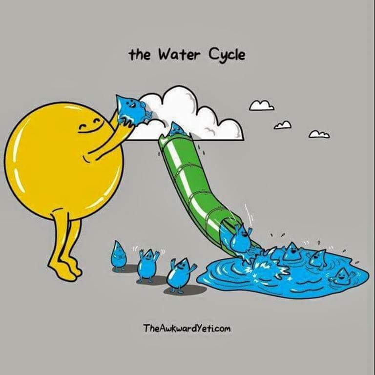 water cycle