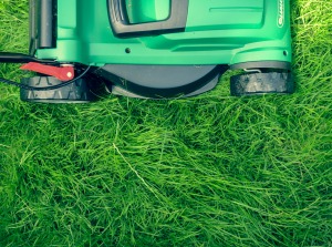 Healthy Lawns